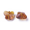 Transparent Glass Beads GLAA-P037-02B-13-2