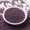 MIYUKI Round Rocailles Beads X-SEED-G009-RR0386-2