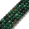 Natural Emerald Quartz Beads Strands G-D470-12B-1