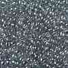 TOHO 8/0 Round Beads X-SEED-TR08-0112-2