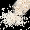 TOHO 6/0 Round Beads SEED-XTR06-0123L-1