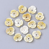 Yellow Shell Beads SSHEL-S251-39-1