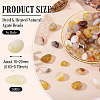 250G Dyed & Heated Natural Agate Beads G-TA0002-73B-3