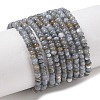 Natural Freshwater Shell Beads Strands SHEL-P017-01A-13-1