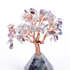Natural Fluorite Chips and Gemstone pedestal Display Decorations G-S282-10-2