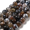Faceted Natural Fire Crackle Agate Beads Strands G-F447-12mm-N08-2