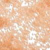 Frosted Colours Glass Seed Beads SEED-H003-06C-3