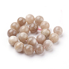 Natural Sunstone Beads Strands X-G-G099-10mm-14-2