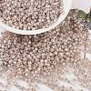 MIYUKI Round Rocailles Beads X-SEED-G008-RR0579-1