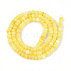 Natural Freshwater Shell Dyed Beads Strands SHEL-T020-29A-09-2