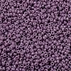 MIYUKI Round Rocailles Beads X-SEED-G009-RR4489-2