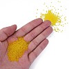 15/0 Transparent Czech Glass Seed Beads SEED-N004-004-25-5