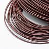 Spray Painted Cowhide Leather Cords WL-R001-2.0mm-03-2
