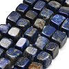 Natural Lapis Lazuli Beads Strands G-D108-B01-2