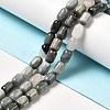 Natural Eagle Eye Stone Beads Strands G-G980-14-2