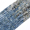 Natural Kyanite/Cyanite/Disthene Beads Strands G-D0013-06A-1