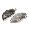 Natural Labradorite Big Pendants G-K338-32P-2