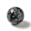 Natural Snowflake Obsidian Beads G-A206-02-06-2