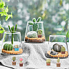 CRASPIRE 21Pcs 7 Style Resin Mini Cactus Bonsai Display Decorations AJEW-CP0005-41-5