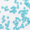 8/0 Glass Seed Beads SEED-J012-F8-119-3