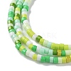 Handmade Lampwork Beads Strands LAMP-L078-008-4