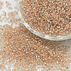 8/0 Round Glass Seed Beads SEED-J018-F8-72-1