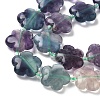 Natural Flower Rainbow Fluorite Beads Strands G-L241B-09-01-3