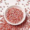 6/0 Opaque Colours Seep Glass Seed Beads X-SEED-F003-04A-14-2