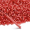 TOHO 6/0 Round Beads X-SEED-TR06-2201-2