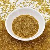 MIYUKI Delica Beads SEED-X0054-DB2372-2
