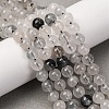 Natural Tourmalinated Quartz/Black Rutilated Quartz Beads Strands G-E558-04-6mm-5