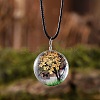 Flat Round Glass with Dried Flower Tree Inner Pendant Black Waxed Cord Necklaces FS-WG87A6D-13-1