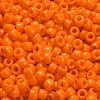 TOHO 6/0 Round Beads X-SEED-TR06-0042D-4