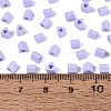 FGB Baking Paint Glass Seed Beads SEED-Q040-09A-15-4