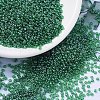 MIYUKI Round Rocailles Beads SEED-G007-RR0173-4