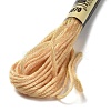 10 Skeins 6-Ply Polyester Embroidery Floss OCOR-K006-A20-2