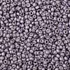 TOHO 8/0 Round Beads X-SEED-TR08-0554F-2