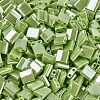 MIYUKI TILA Beads LS-X-SEED-J020-TL439-3