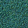 MIYUKI Round Rocailles Beads SEED-X0054-RR0146FR-2