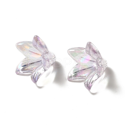 Transparent Acrylic Bead Caps OACR-H016-05B-1