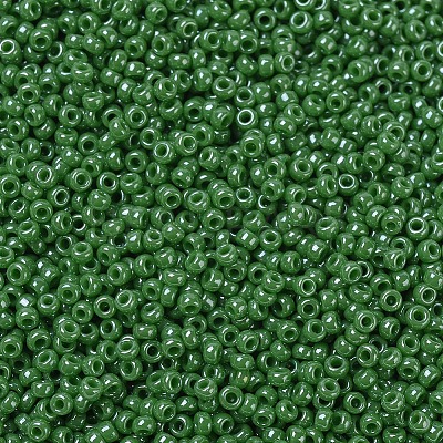MIYUKI Round Rocailles Beads X-SEED-G007-RR0431-1