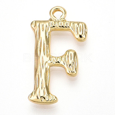 304 Stainless Steel Pendants STAS-N117-01G-F-1