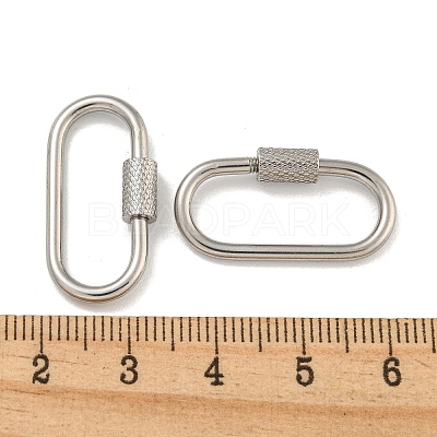 Non-Tarnish 304 Stainless Steel Screw Carabiner Lock Charms STAS-C092-04E-P-1