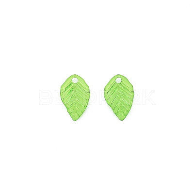 Transparent Acrylic Charms TACR-T012-04-1