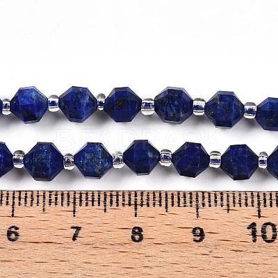 Natural Lapis Lazuli Beads Strands G-O201B-25-1-1