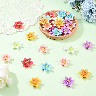 30Pcs 6 Colors Opaque Resin Pendants CRES-YW0002-84-1