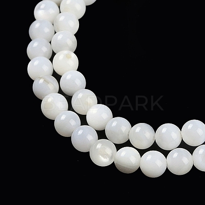 Natural Cultured Freshwater Shell Beads Strands BSHE-H109-03B-1