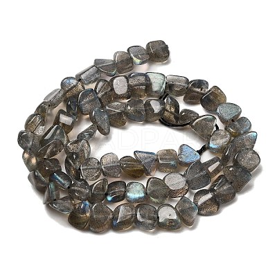 Natural Labradorite Beads Strands G-A279-A01-01-1