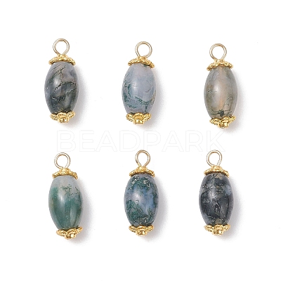 6Pcs Natural Moss Agate(Dyed & Heated) Pendants PALLOY-JF04532-01-1