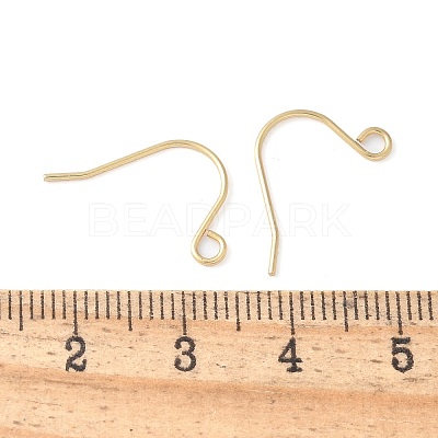 316 Surgical Stainless Steel Earring Hooks STAS-Z124-02C-G-1